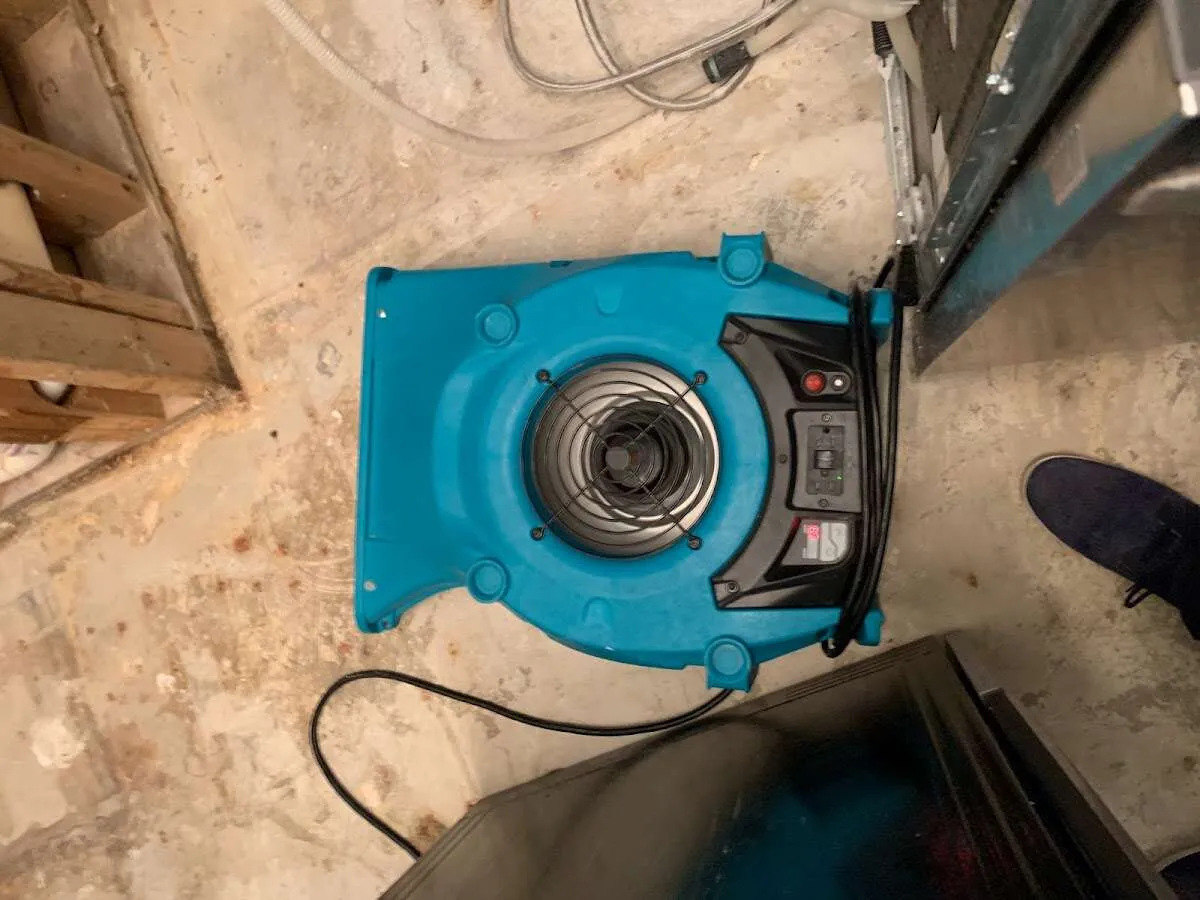 Air mover drying equipment for Mold Remediation & Removal in Fanwood