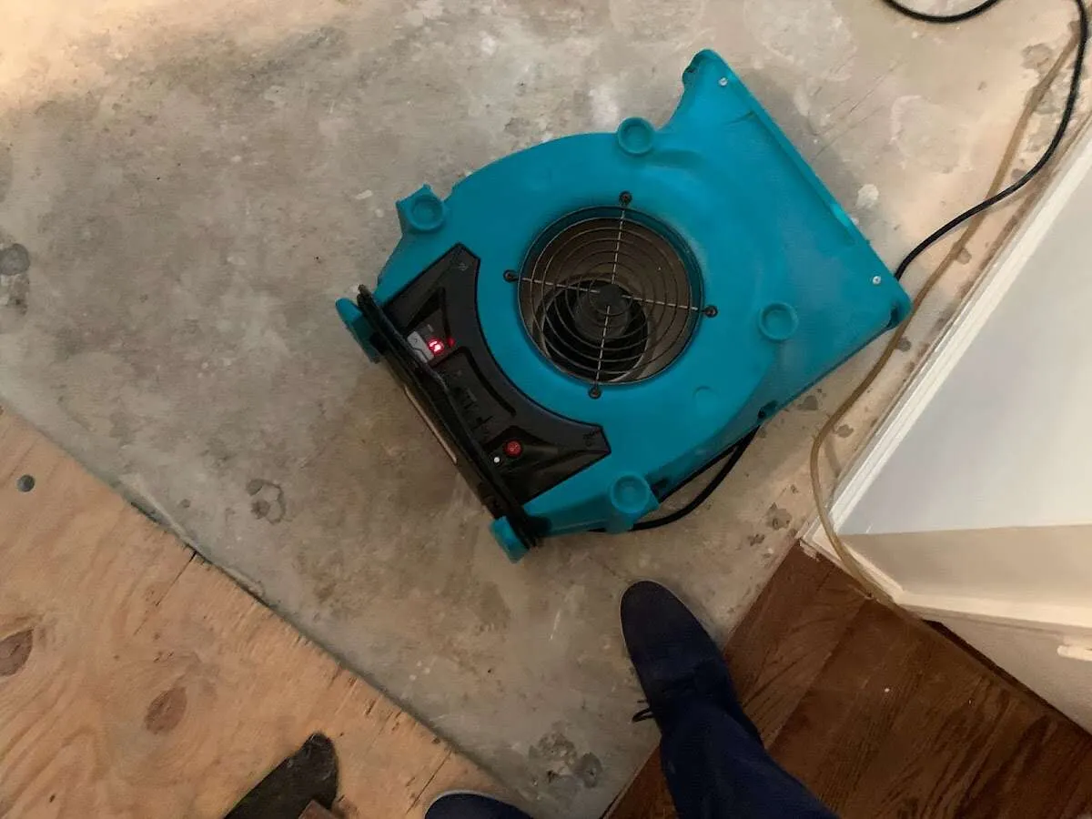 Air mover drying subfloor during Commercial Water Damage Restoration in Fanwood
